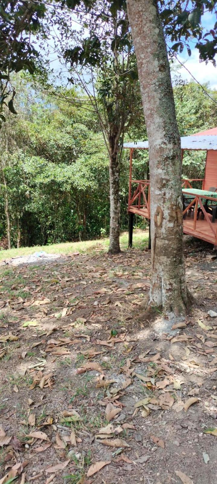 Cabana Alto De Luna Vifamiliar La Vega  Ngoại thất bức ảnh